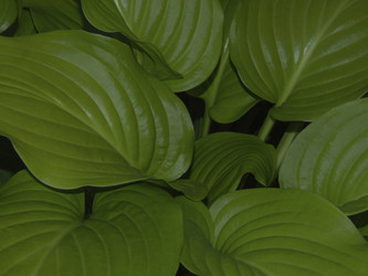 Similar image 21266333