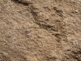 Similar image 21266335