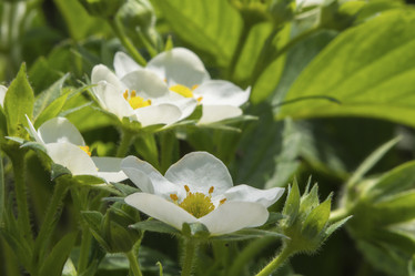 Similar image 21266336