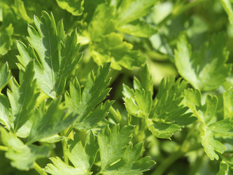 Similar image 21266337