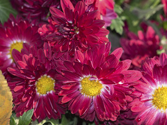 Similar image 21266340