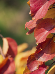 Similar image 21266345