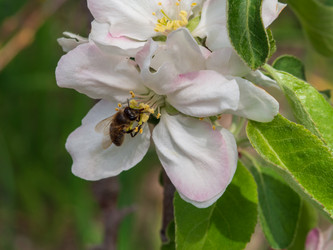 Similar image 21266347