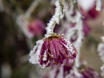 Similar image 21266351