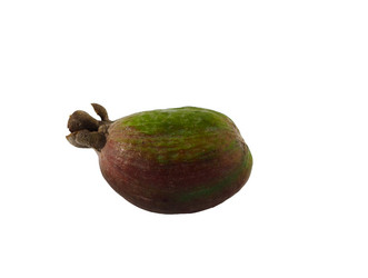 Similar image 21266353