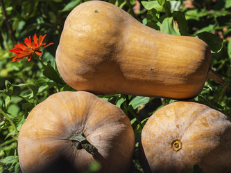 Similar image 21266354