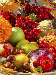 Similar image 21266355