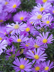 Similar image 21266357