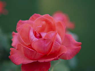 Similar image 21266358