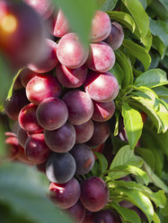 Similar image 21266363