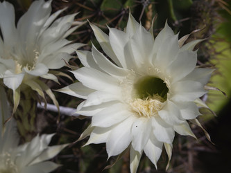 Similar image 21266364