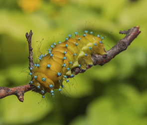 Similar image 21266365