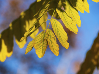 Similar image 21266366