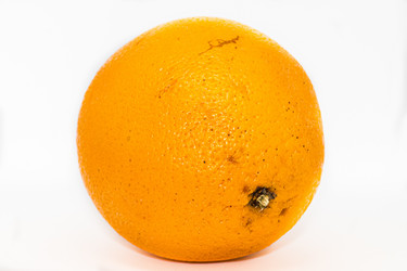 Similar image 21259233