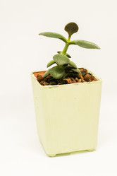 Similar image 21259234