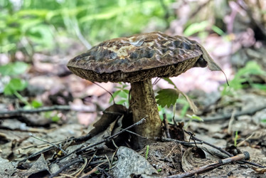 Similar image 21259236