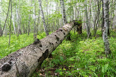 Similar image 21259241