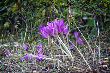 Similar image 21259242