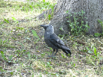 Similar image 21264720