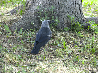 Similar image 21264721