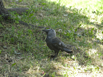 Similar image 21264722