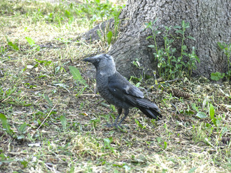 Similar image 21264724