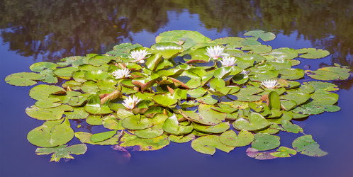 Similar image 21283024