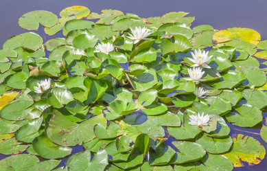 Similar image 21283025