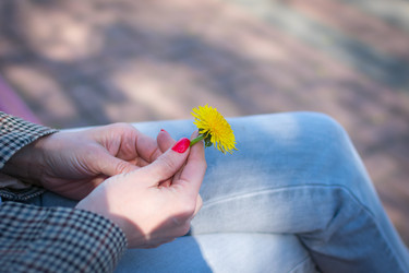 Similar image 21279537