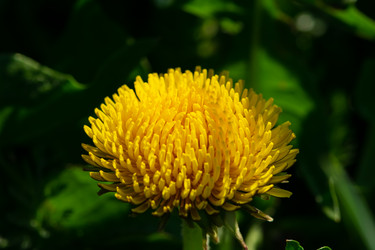 Similar image 21279538