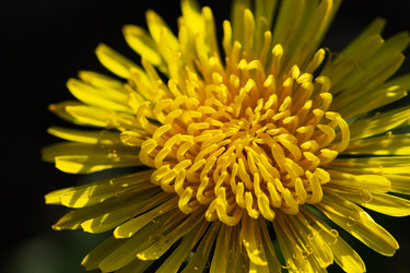 Similar image 21279539