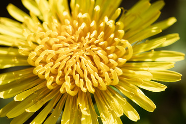 Similar image 21279540