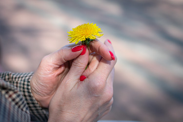 Similar image 21279541