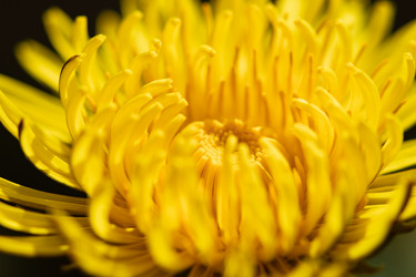 Similar image 21279542