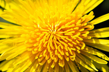 Similar image 21279543