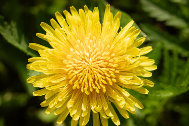 Similar image 21279544