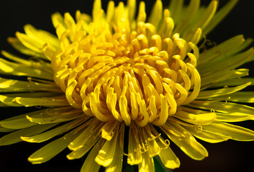 Similar image 21279547