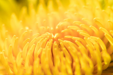 Similar image 21279550