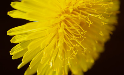 Similar image 21279552