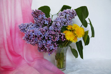 Similar image 21259252