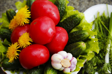 Similar image 21259253