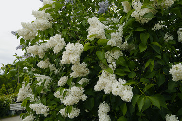 Similar image 21259255