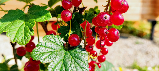 Similar image 21262633