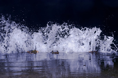 Similar image 21280895