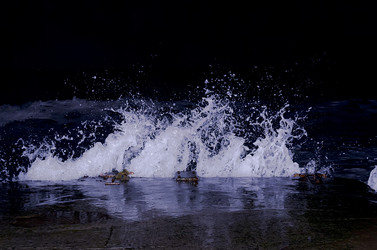 Similar image 21280899