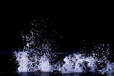 Similar image 21280936