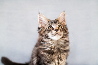 Similar image 21259086