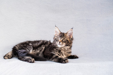 Similar image 21259096