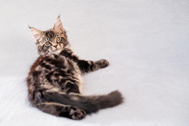 Similar image 21259099