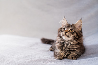 Similar image 21259092